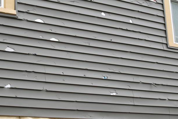 Best Siding Painting and Refinishing  in North Richmond, CA